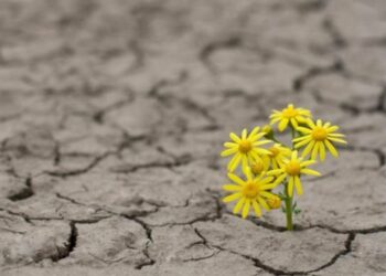Ilustrasi. (Thinkstockphotos)